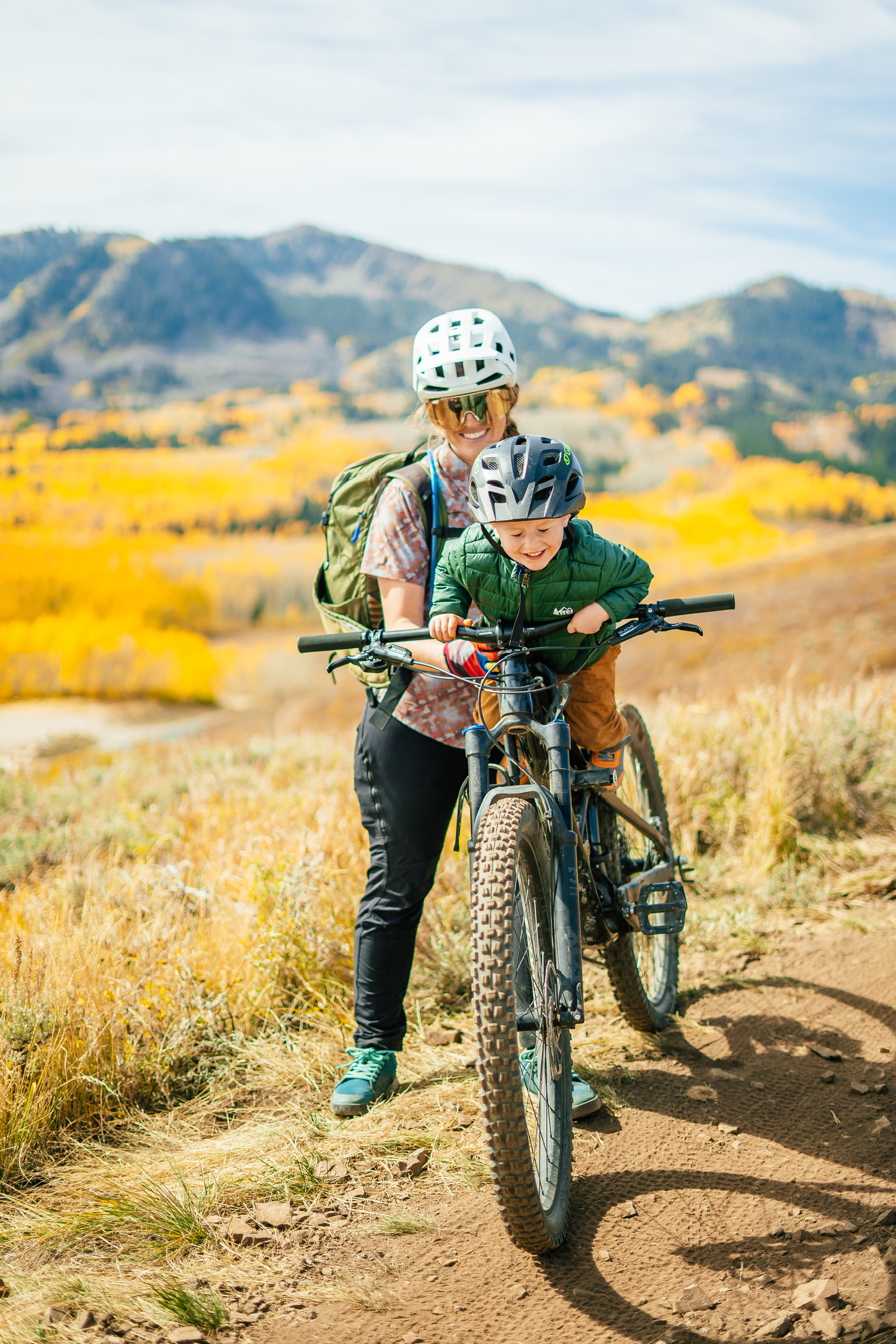 mountain bike child front seat