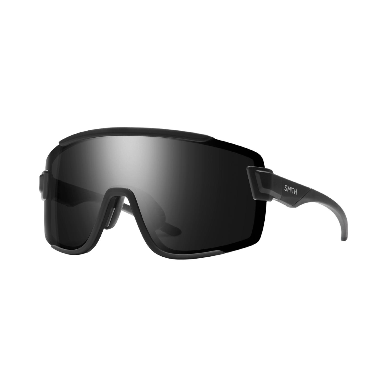 Smith Wildcat Glasses